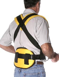 Harness - Rear View